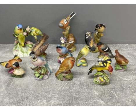 11 Royal Worcester bird ornaments and 1 other