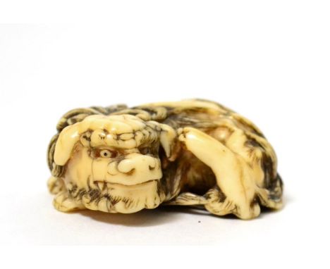 A Japanese ivory netsuke, Meiji period, as a recumbent lion dog, 4cm long