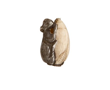 A JAPANESE IVORY OJIME BEAD, MEIJI PERIOD, carved as a rat with a corn. 2cm