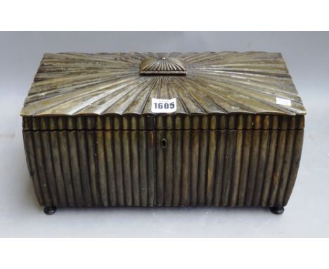 A Regency horn veneered sarcophagus shaped tea caddy, with twin lidded interior, 35cm wide x 90cm high x 17cm deep.
