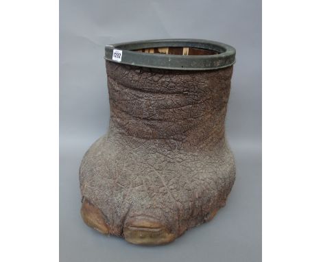 An elephant's foot stick stand, late 19th century, with metal band to rim, 41cm high.