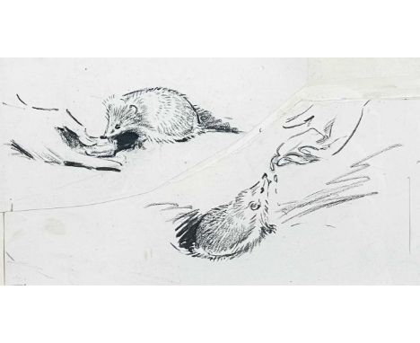 Eileen SOPER, RMS SWLA (1905-1990) Young Hedgehogs Feeding   Pencil9.5cm x 19cm Provenance: From the estate of George and Eil
