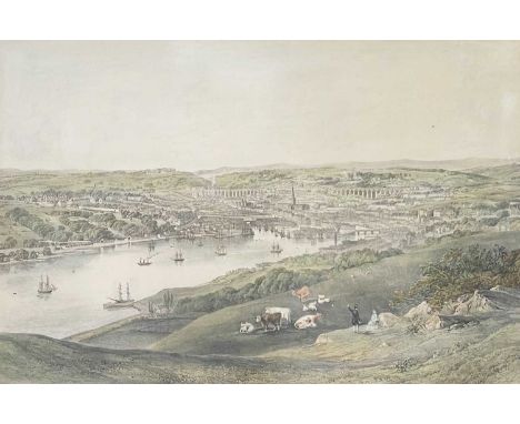 Newman & Co (lithographers) 'Truro and Neighbourhood'  Lithograph with contemporary hand colouring, a couple of small blemish