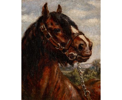 ‡ CHARLES FREDERICK TUNNICLIFFE OBE RA oil on canvas - portrait of a cob, signed, 27 x 22cmsProvenance: private collection Gw