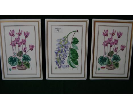 3 Royal Worcester ceramic botanical studies wall plaques Wisteria & Cyclamen.