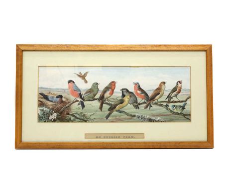 After Harry Bright 'An English Team' and 'An Australian Eleven',lithograph, within maple frames, a pair,18.2 x 49.6cm (2)Cond