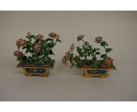 A pair of small Chinese cloisonné and enamel jardinieres, Qing, each jardinière 10.5cm wide. (2) 