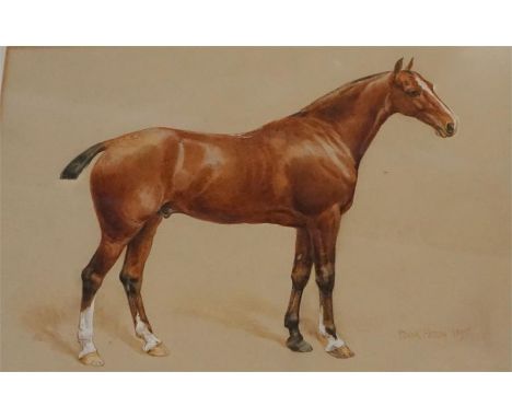 Portrait of a Bay Hunter by Frank Paton 9 inches by 13 inches 