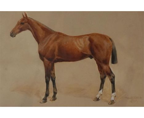 Portrait of a Bay Hunter by Frank Paton 9 inches by 13 inches water colour 