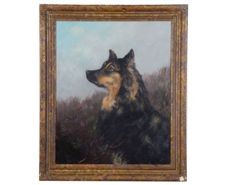 William Grant Stevenson, R.S.A. (Scottish, 1849-1919):Portrait study of a terrier with landscape beyond, oil on canvas, signe
