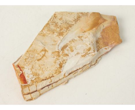 Fossil leaves, Glossopteris - USAApproximately 11 x 7cm, 165.3 grams