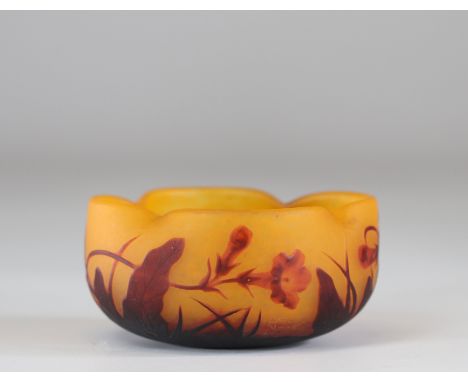 Daum Nancy Empty pocket "with tobacco flowers"Sizes: L=125mm ; H=65mmWeight (K): 0.553kgAuthor / artist: DAUM NANCY