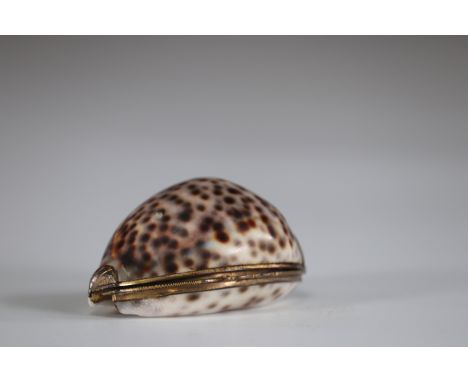 Shell snuffbox mounted in boxSizes: L=70mm l=55mmWeight (K): 0.077kg