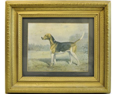 After IMOGEN COLLIER; a black and white Print of The Sinnington Hunt and a coloured print of a foxhound. 