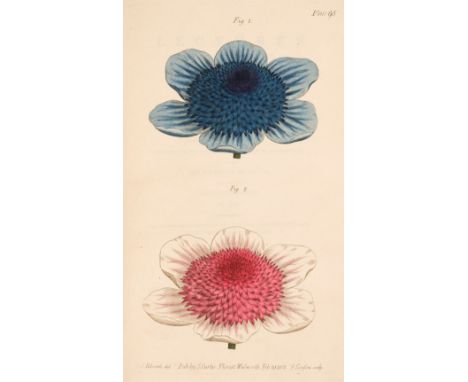Curtis (William). Lectures in Botany, as Delivered in the Botanic Garden at Lambeth... arranged from the manuscripts in the p