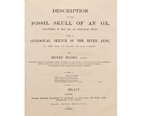 Woods (Henry). Description of the Fossil Skull of an Ox, discovered, in May 1838, at Melksham, Wilts; with a geological sketc