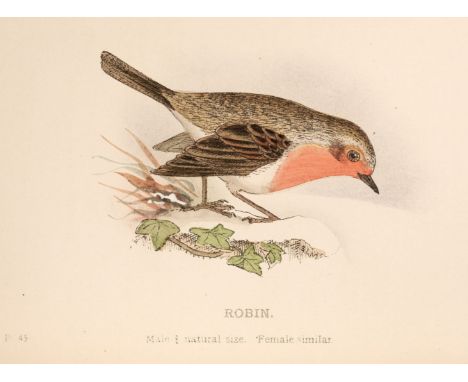 Mosley (Seth Lister &amp; Frederick Ormrod). An Account of the Birds of the Huddersfield District, 1st edition, [Huddersfield