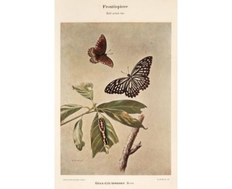 Woodhouse (L.G.O., and Henry, G.M.R.). The Butterfly Fauna of Ceylon, 1st edition, Colombo: Ceylon Government Press, 1942, si