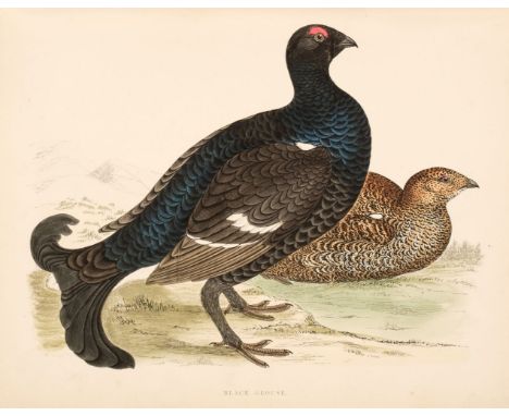 Morris (Beverley R). British Game Birds and Wildfowl, 3rd edition, London: John C. Nimmo, 1891, half-title, 60 hand-coloured 