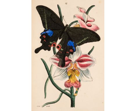 Westwood (John Obadiah). Arcana Entomologica; or Illustrations of New, Rare, and Interesting Insects, 2 volumes, 1st edition,