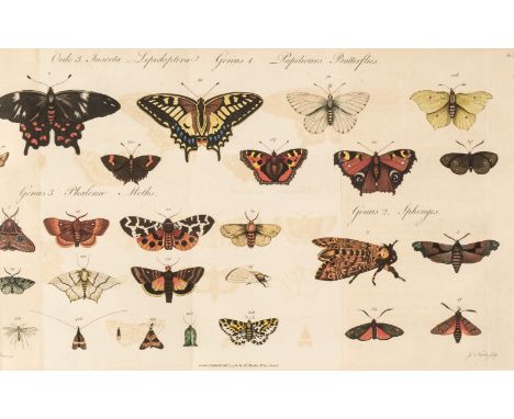Barbut (Jacques). Les Genres des Insectes de Linne; constates par divers echantillons d'insectes d'Angleterre, copies d'apres