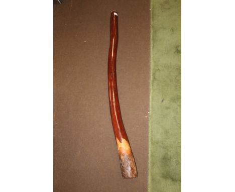 A DIDGERIDOO