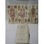 An Atlas of Female Anatomy, in poor condition.