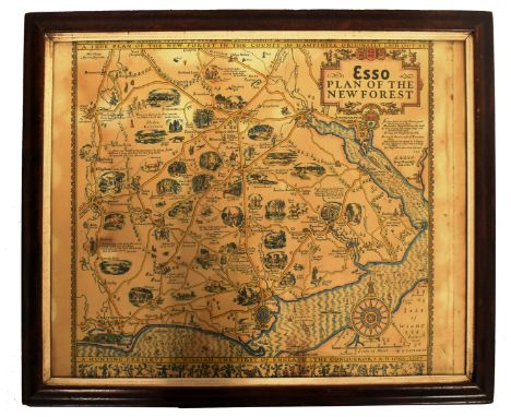 A vintage 20th century 1930s Esso map plan of The New Forest. Printed in colour with detailed landmarks. Framed and glazed. M