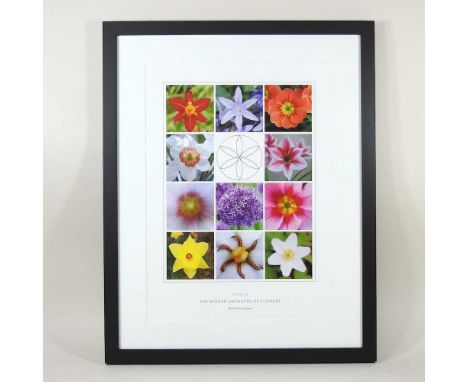 Keith Critchlow, 1933-2020, flowers, limited edition print, 32 x 42cm. Sold in aid of Summerhill school