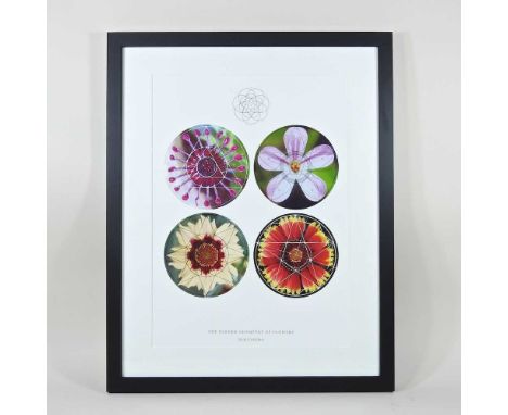 Keith Critchlow, 1933-2020, flowers, limited edition print, 32 x 42cm. Sold in aid of Summerhill school