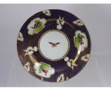 A Fine 19th Century Cabinet Plate, hand painted with birds and insects, highlighted with gilt decoration, approx 22 cms, beli