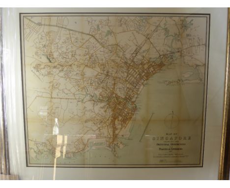 A Print Depicting A Map of Singapore, framed and glazed, approx 73 x 61 cms.