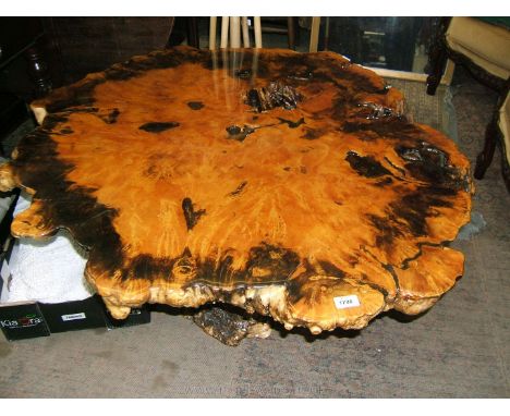 An unusual modern Lounge Table, with highly glazed slab of burr Walnut on short burr Walnut trunk pedestal.