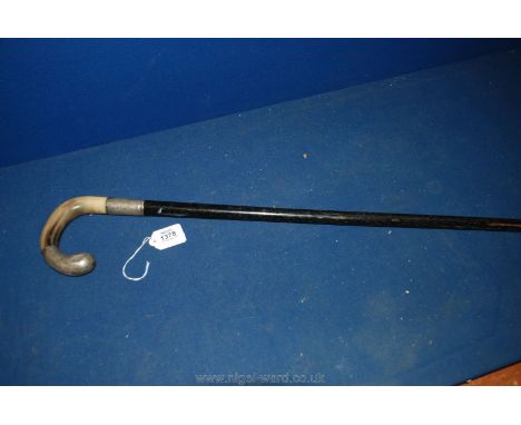 A Silver banded, horn handled Walking Stick