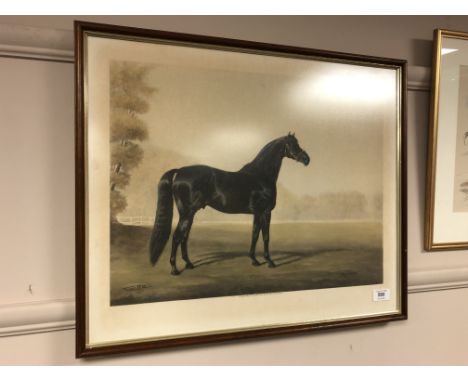 After Juliet Mcleod : Big Game, colour print, 50 cm x 38 cm