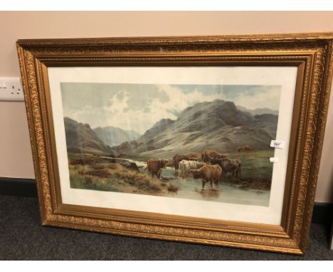 After Tom Rowden : Highland cattle, colour print, 68 cm x 38 cm