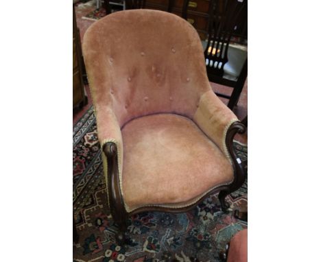A Victorian mahogany framed button back armchair and a smaller similar gold painted chair 
