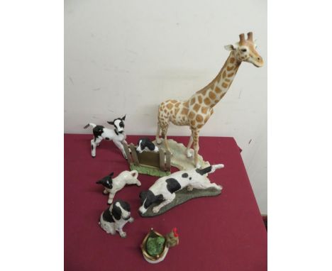 Large hand crafted and painted resin model of a standing giraffe, Border Fine Arts Action Dogs model of an English Springer S