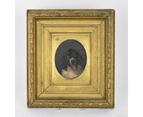 Circle of Edwin Landseer, 19th century,portrait of a spaniel, oil on card, within a moulded gilt-wood frame, 14 cm x 11 cmPro