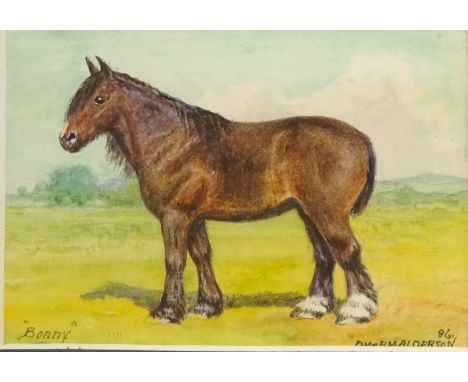 'Bonny', Portrait of a Horse, watercolour signed and dated '86 by Dorothy Margaret Alderson (British 1900-1992) and Elizabeth