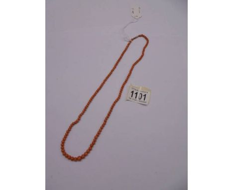 A natural early 20th century coral bead necklace with 9ct gold stamped clasp.