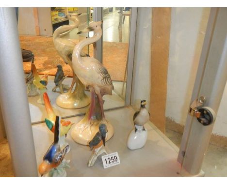 A Goebel bird and four other continental porcelain birds.