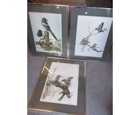 Edwin Penny - Three signed prints entitled Kingfishers, Magpies and Goldfinches, 15" x 20", framed 