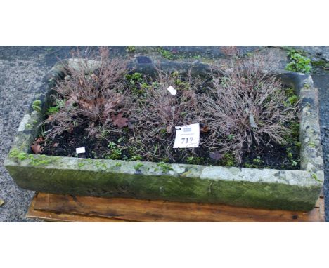 An old stone water or feeding trough used as a garden planter. H16cm x W91cm x D50cm