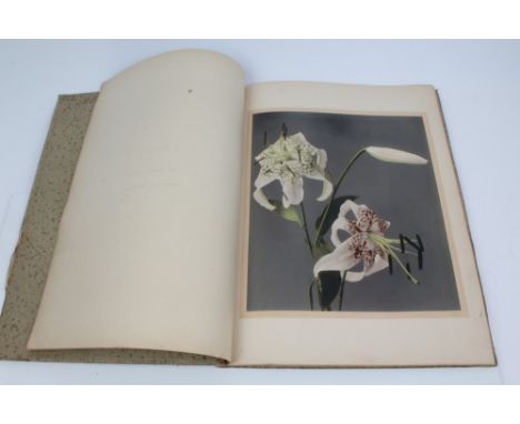 Book:  Some Japanese flowers by K. Ogawa, published Tokyo 1897, finely painted volume including ten chromo-collotype prints o