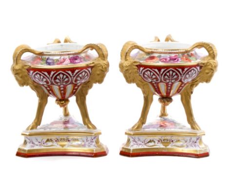 Fine pair Derby porcelain pot pourri vases, the urn-shaped bodies each with three frosted gilt ram's head handles, with outst