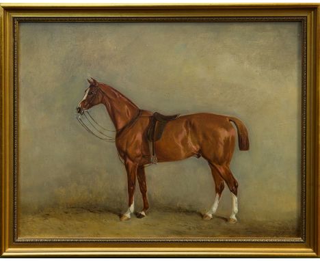 Claude Lorraine Ferneley (1822 - 1891), oil on board - study of a chestnut hunter, inscribed - A Sketch Nov 1879, signed with