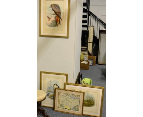 A 19th century adjustable piano stool and three ornithological prints and a map of Kent   