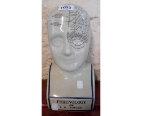 A modern ceramic phrenology head