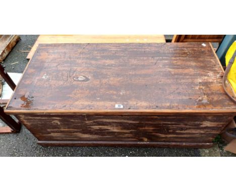 A large old pine trunk